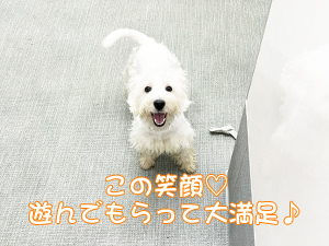 １年生が成犬、２年生が子犬をお世話♪